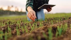 Agricultural Research & Innovation